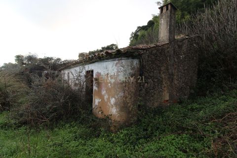 Villa i Monchique, Faro, Monchique - € 199.000 | Ref: C0507-00306 - foto 3