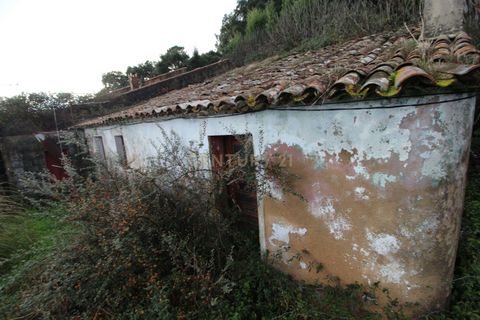 Villa i Monchique, Faro, Monchique - € 199.000 | Ref: C0507-00306 - foto 4