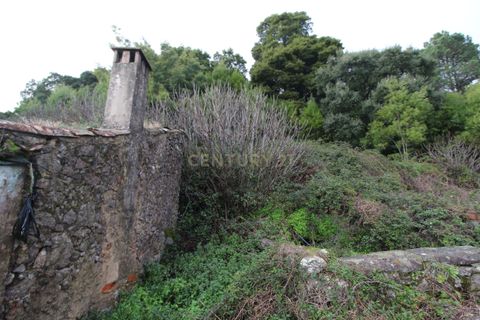 Villa i Monchique, Faro, Monchique - € 199.000 | Ref: C0507-00306 - foto 5