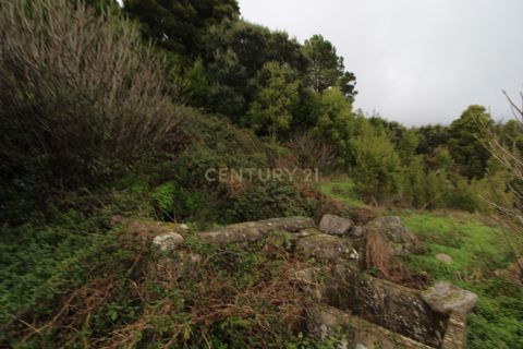 Villa i Monchique, Faro, Monchique - € 199.000 | Ref: C0507-00306 - foto 6