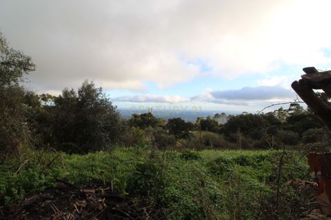 Villa i Monchique, Faro, Monchique - € 199.000 | Ref: C0507-00306 - foto 9