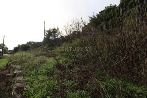 Villa i Monchique, Faro, Monchique - € 199.000 | Ref: C0507-00306 - foto 10