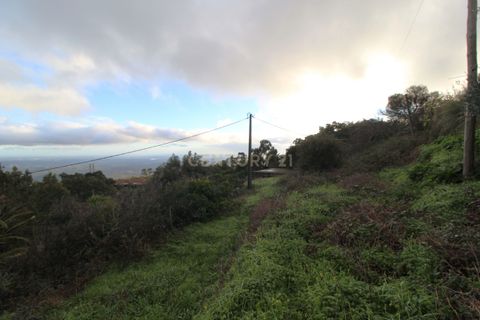 Villa i Monchique, Faro, Monchique - € 199.000 | Ref: C0507-00306 - foto 11
