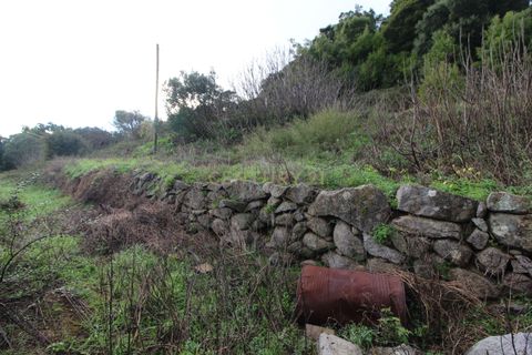 Villa i Monchique, Faro, Monchique - € 199.000 | Ref: C0507-00306 - foto 13
