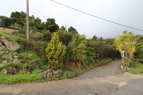 Villa i Monchique, Faro, Monchique - € 199.000 | Ref: C0507-00306 - foto 16