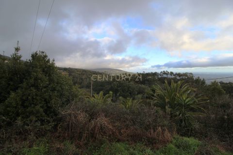 Villa i Monchique, Faro, Monchique - € 199.000 | Ref: C0507-00306 - foto 18