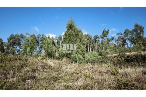 Helårsgrund i Outeiro, Viana do Castelo, Outeiro - € 78.000 | Ref: VCC14656 - foto 8