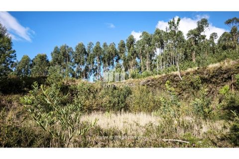 Helårsgrund i Outeiro, Viana do Castelo, Outeiro - € 88.000 | Ref: VCC14655 - foto 10
