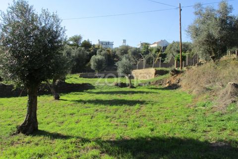 Villa i Serra, Santarem, Serra - € 220.000 | Ref: ZMPT583868 - foto 9