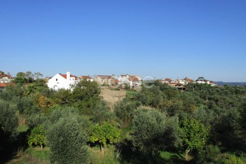 Villa i Serra, Santarem, Serra - € 220.000 | Ref: ZMPT583868 - foto 10