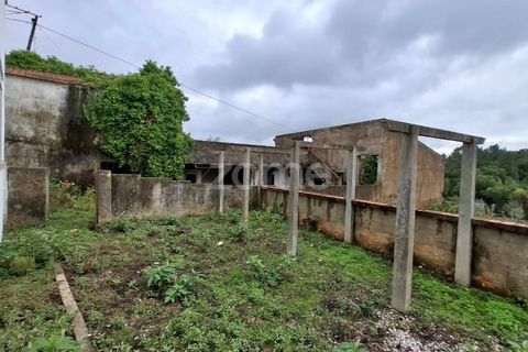 Villa i Serra, Santarem, Serra - € 220.000 | Ref: ZMPT583868 - foto 34