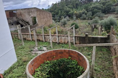 Villa i Serra, Santarem, Serra - € 220.000 | Ref: ZMPT583868 - foto 36