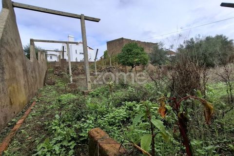Villa i Serra, Santarem, Serra - € 220.000 | Ref: ZMPT583868 - foto 40