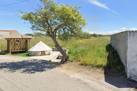 Helårsgrund i Lavos, Coimbra, Lavos - € 80.000 | Ref: TER_1196 - foto 3