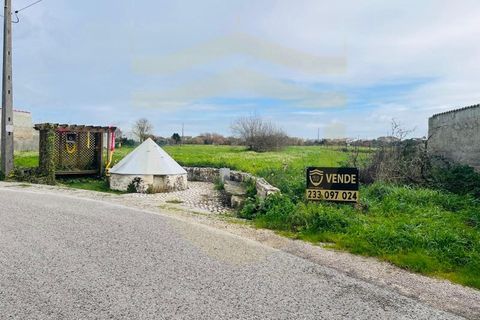 Helårsgrund i Lavos, Coimbra, Lavos - € 80.000 | Ref: TER_1196 - foto 2