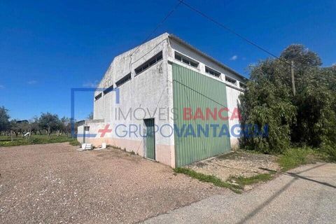 Villa a Borba, Evora, Borba - € 217.500 | Ref: M-30177 - foto 8