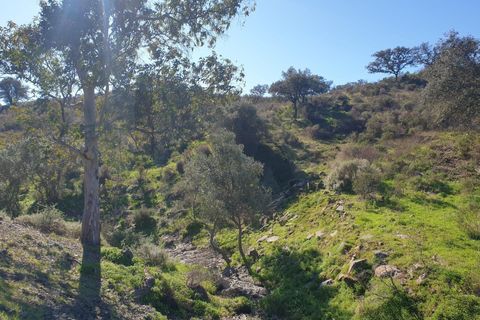 Helårsgrund i Odeleite, Faro, Odeleite - € 11.500 | Ref: KWPT-026636 - foto 15