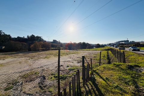 Terra a Brito, Braga, Brito - € 1.500/mes | Ref: L-TR-28-26 - foto 6