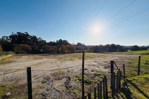 Terra a Brito, Braga, Brito - € 1.500/mes | Ref: L-TR-28-26 - foto 7