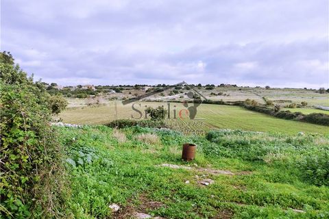 Villa a Scicli, Ragusa, Scicli - € 100.000 | Ref: 226 - foto 9