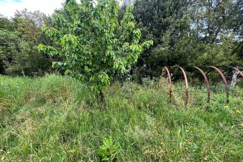 Villa a Collesalvetti, Livorno, Collesalvetti - € 150.000 | Ref: 2026Li002 - foto 20