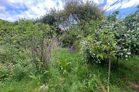 Villa a Collesalvetti, Livorno, Collesalvetti - € 150.000 | Ref: 2026Li002 - foto 21