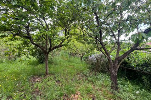 Villa a Collesalvetti, Livorno, Collesalvetti - € 150.000 | Ref: 2026Li002 - foto 24