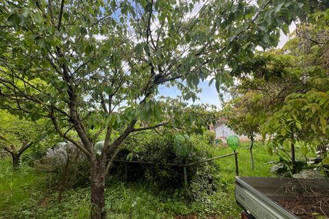 Villa a Collesalvetti, Livorno, Collesalvetti - € 150.000 | Ref: 2026Li002 - foto 25