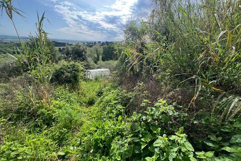 Villa a Collesalvetti, Livorno, Collesalvetti - € 150.000 | Ref: 2026Li002 - foto 28