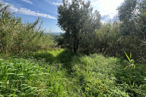 Villa a Collesalvetti, Livorno, Collesalvetti - € 150.000 | Ref: 2026Li002 - foto 29