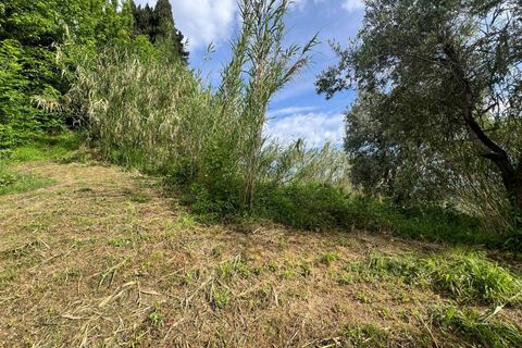 Villa a Collesalvetti, Livorno, Collesalvetti - € 150.000 | Ref: 2026Li002 - foto 30