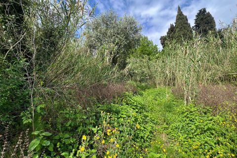 Villa a Collesalvetti, Livorno, Collesalvetti - € 150.000 | Ref: 2026Li002 - foto 31