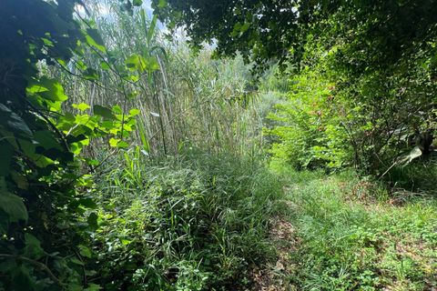 Villa a Collesalvetti, Livorno, Collesalvetti - € 150.000 | Ref: 2026Li002 - foto 32