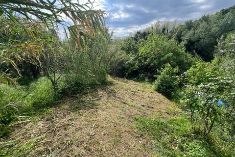 Villa a Collesalvetti, Livorno, Collesalvetti - € 150.000 | Ref: 2026Li002 - foto 33