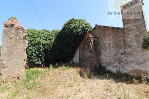 Landejendom i Serra, Santarem, Serra - € 100.000 | Ref: Mu313 - foto 3
