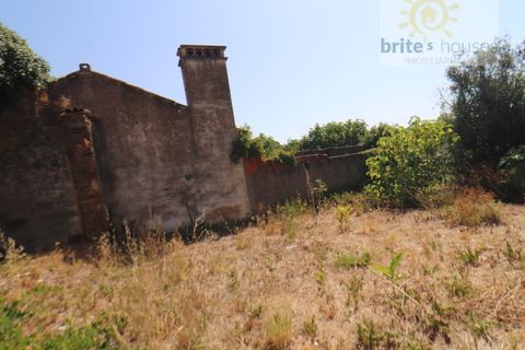 Landejendom i Serra, Santarem, Serra - € 100.000 | Ref: Mu313 - foto 6
