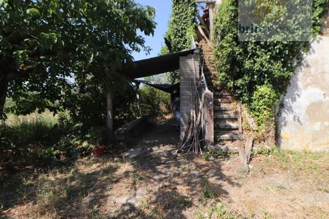 Landejendom i Serra, Santarem, Serra - € 100.000 | Ref: Mu313 - foto 7