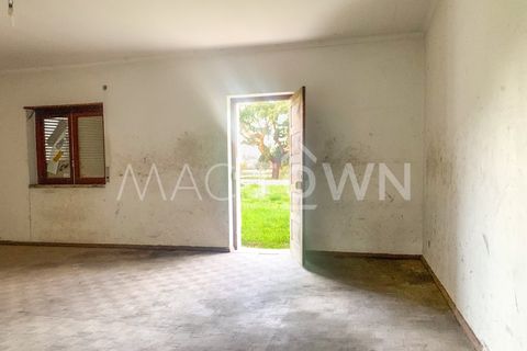 Villa a Entroncamento, Santarem, Entroncamento - € 259.000 | Ref: M059PD - foto 12