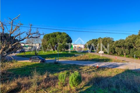 Villa a Entroncamento, Santarem, Entroncamento - € 259.000 | Ref: M059PD - foto 25