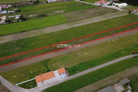 Helårsgrund i Aveiro, Aveiro, Aveiro - € 85.000 | Ref: VEN-4154 - foto 5