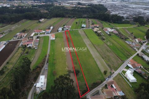 Helårsgrund i Aveiro, Aveiro, Aveiro - € 85.000 | Ref: VEN-4154 - foto 7