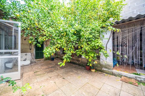 Villa a Manacor, Mallorca, Manacor - € 359.000 | Ref: 15TMNG024/3010 - foto 17