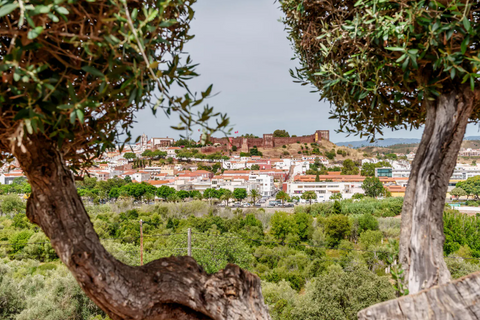 Villa i Silves, Faro, Silves - € 1.270.000 | Ref: CB01-0748 - foto 14