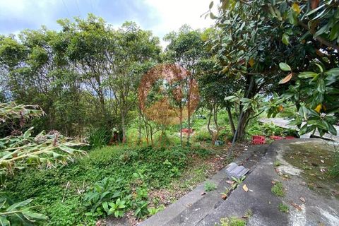 Byhus i Velas, Sao Jorge, Velas - € 280.000 | Ref: M1001 - foto 7