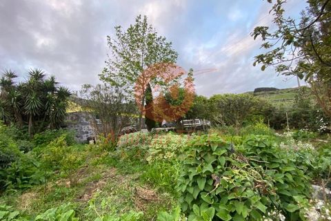 Byhus i Velas, Sao Jorge, Velas - € 280.000 | Ref: M1001 - foto 24