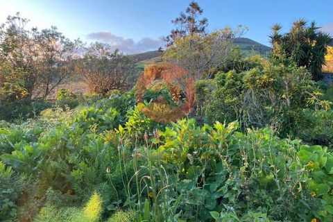 Byhus i Velas, Sao Jorge, Velas - € 280.000 | Ref: M1001 - foto 31