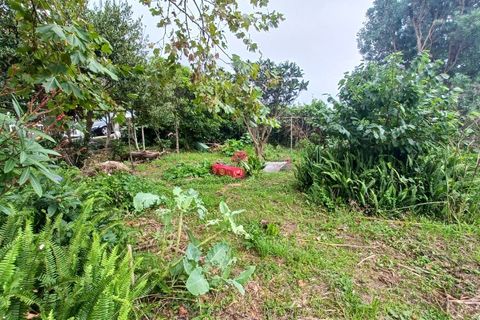 Byhus i Velas, Sao Jorge, Velas - € 280.000 | Ref: M1001 - foto 39
