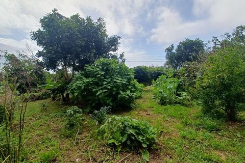 Byhus i Velas, Sao Jorge, Velas - € 280.000 | Ref: M1001 - foto 40