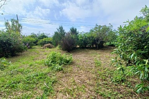 Byhus i Velas, Sao Jorge, Velas - € 280.000 | Ref: M1001 - foto 41