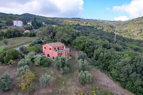 Landejendom i Rosignano Marittimo, Livorno, Rosignano Marittimo - € 470.000 | Ref: CS416 - foto 21
